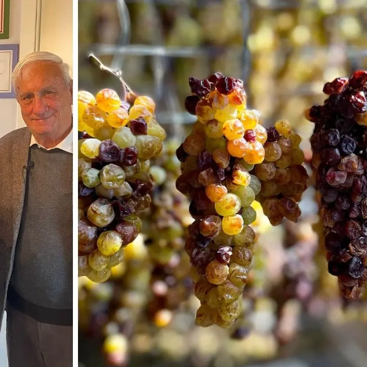 Una sfida in cui nessuno credeva, così è rinato in Calabria il vino moscato che ha conquistato anche la Cina