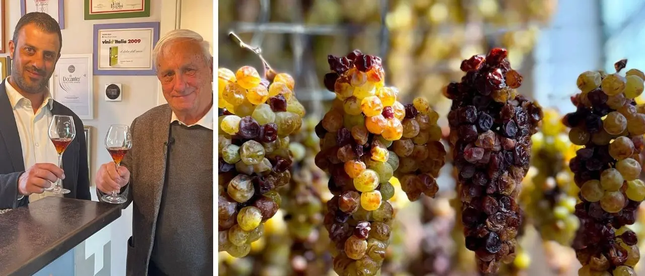 Una sfida in cui nessuno credeva, così è rinato in Calabria il vino moscato che ha conquistato anche la Cina