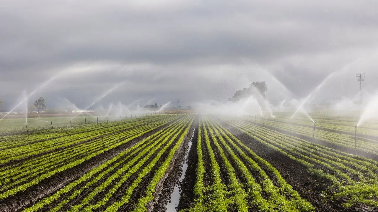 Acqua, i consorzi di bonifica smentiscono Occhiuto: «I 100 milioni del Pnrr per l’irrigazione non sono a rischio»