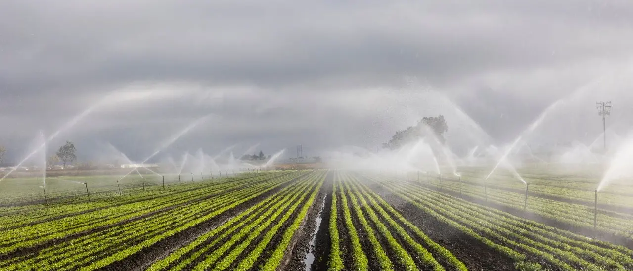 Acqua, i consorzi di bonifica smentiscono Occhiuto: «I 100 milioni del Pnrr per l’irrigazione non sono a rischio»