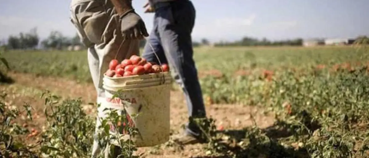 Reggio Calabria, riunione in Prefettura sulla realizzazione di alloggi per ospitare lavoratori stagionali