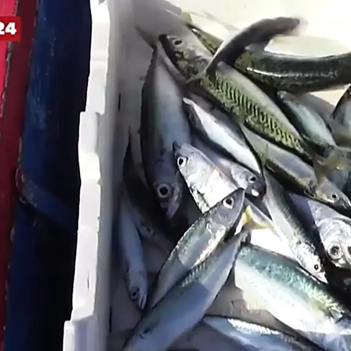 Le storie e le specialità di mare della Calabria approdano allo Slow fish di Genova