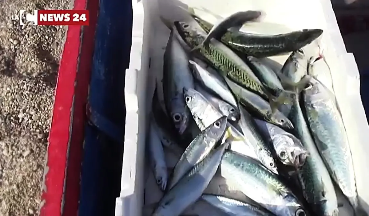 Le storie e le specialità di mare della Calabria approdano allo Slow fish di Genova