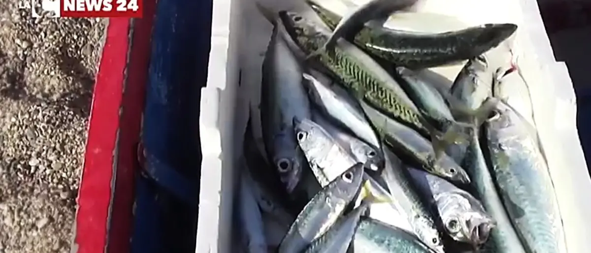 Le storie e le specialità di mare della Calabria approdano allo Slow fish di Genova