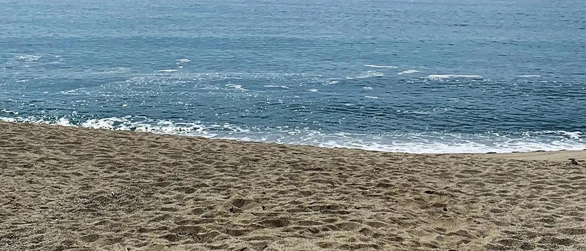 La denuncia di FilmCams: «Qui tante chiacchiere e influencer strapagati ma il mare è ancora sporco»