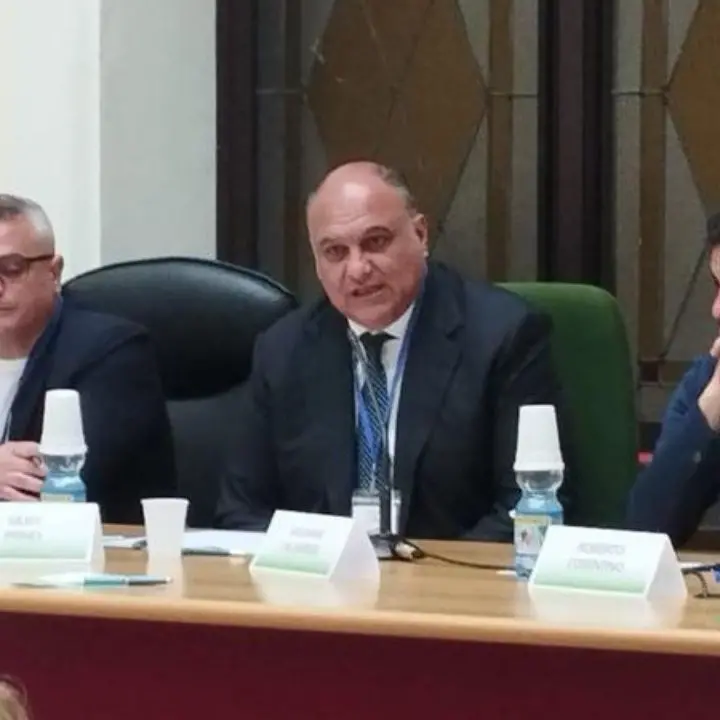 “Insieme creiamo il futuro”, l’assessore Giovanni Calabrese al seminario a Reggio Calabria