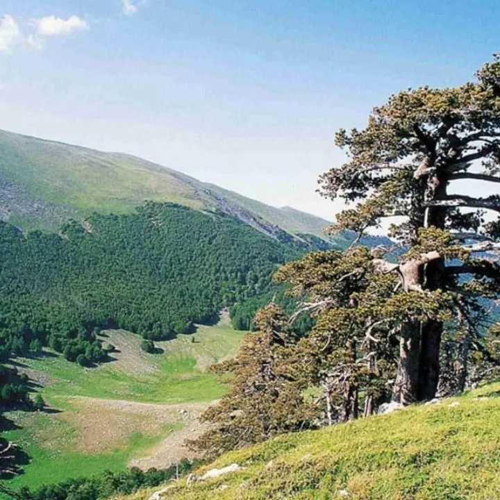 Parco Nazionale del Pollino: visita ispettiva dell’Unesco per la convalida a Geoparco mondiale