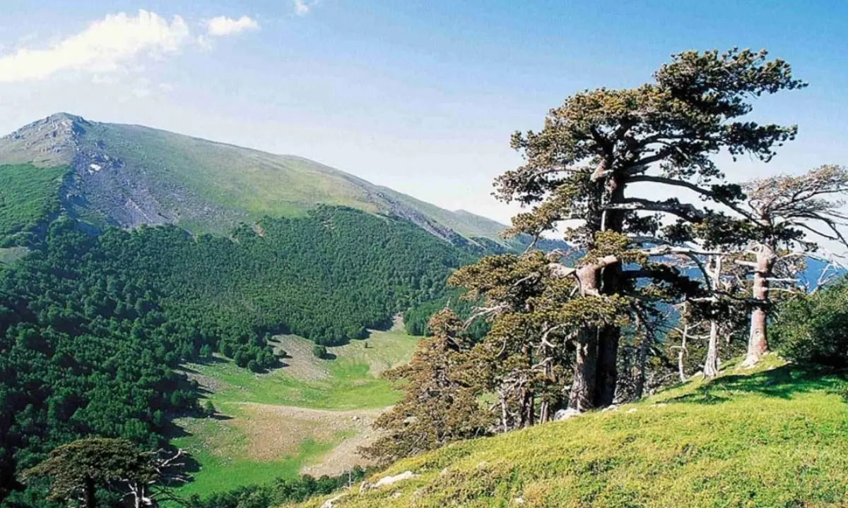 Parco Nazionale del Pollino: visita ispettiva dell’Unesco per la convalida a Geoparco mondiale