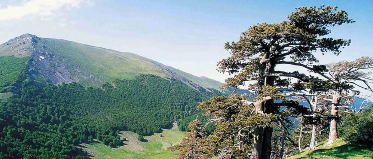 Parco Nazionale del Pollino: visita ispettiva dell’Unesco per la convalida a Geoparco mondiale