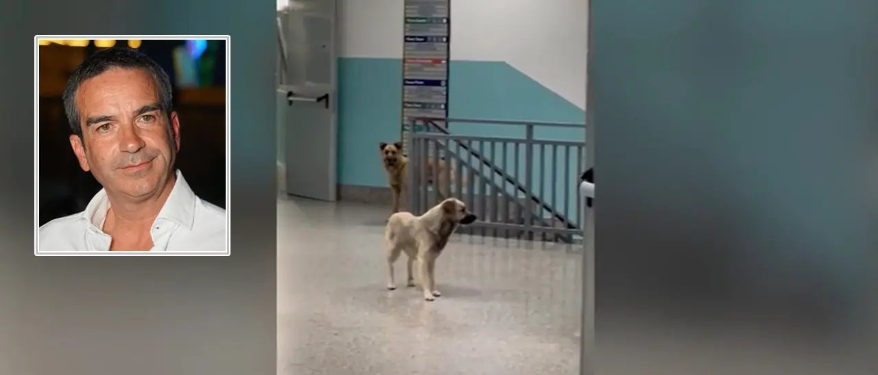 Sanità calabrese? Mancu li cani! La rivoluzione di Occhiuto abbaia ancora alla luna