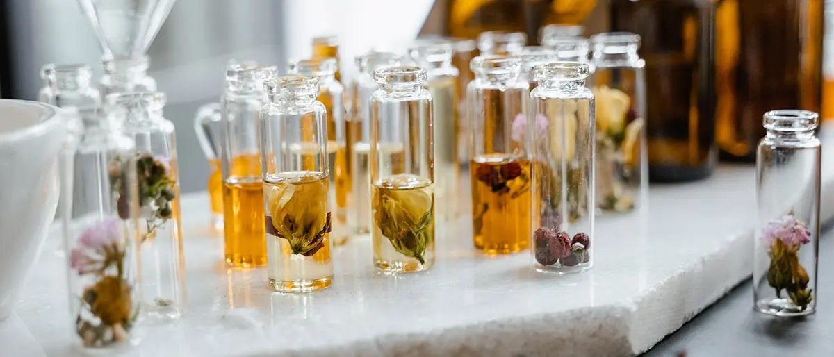 Il profumo di Calabria inebria le grandi aziende e l’Unical organizza un percorso olfattivo sulle antiche essenze