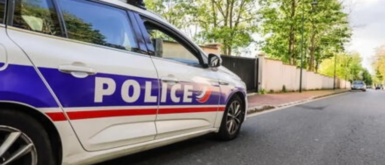 Terrore in Francia, accoltellate sei persone in un parco: quattro sono bambini