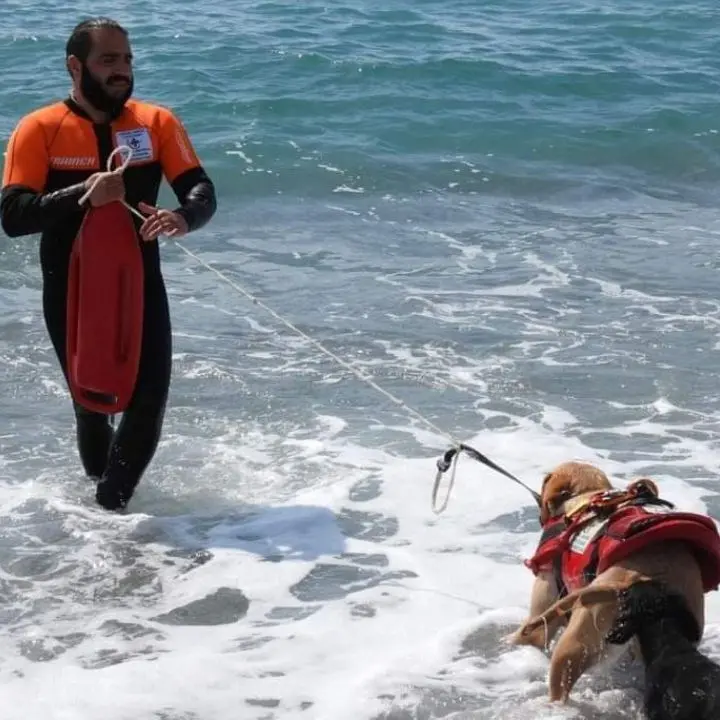 Giancarlo e la sua fida Mae vigileranno sulle spiagge di Catanzaro Lido: l’unità cinofila al servizio dei bagnanti