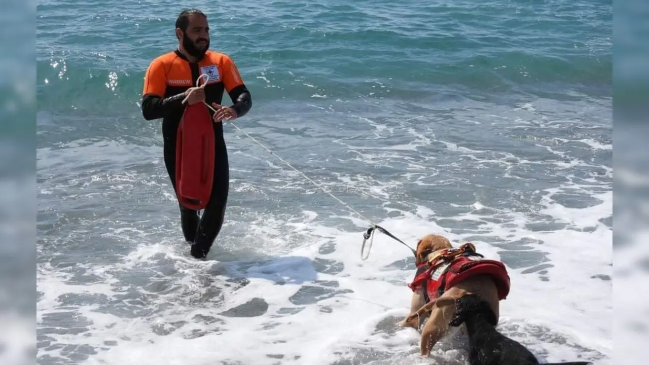 Giancarlo e la sua fida Mae vigileranno sulle spiagge di Catanzaro Lido: l’unità cinofila al servizio dei bagnanti