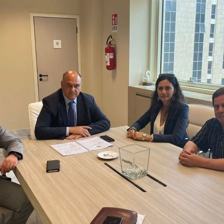 Lavoratori Legge 15, incontro alla Cittadella. Succurro: «Apertura per il trasferimento a Calabria Verde»