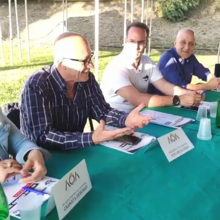 Nuoto, al via il XX meeting Città di Cosenza con oltre 800 atleti da ogni parte d’Italia