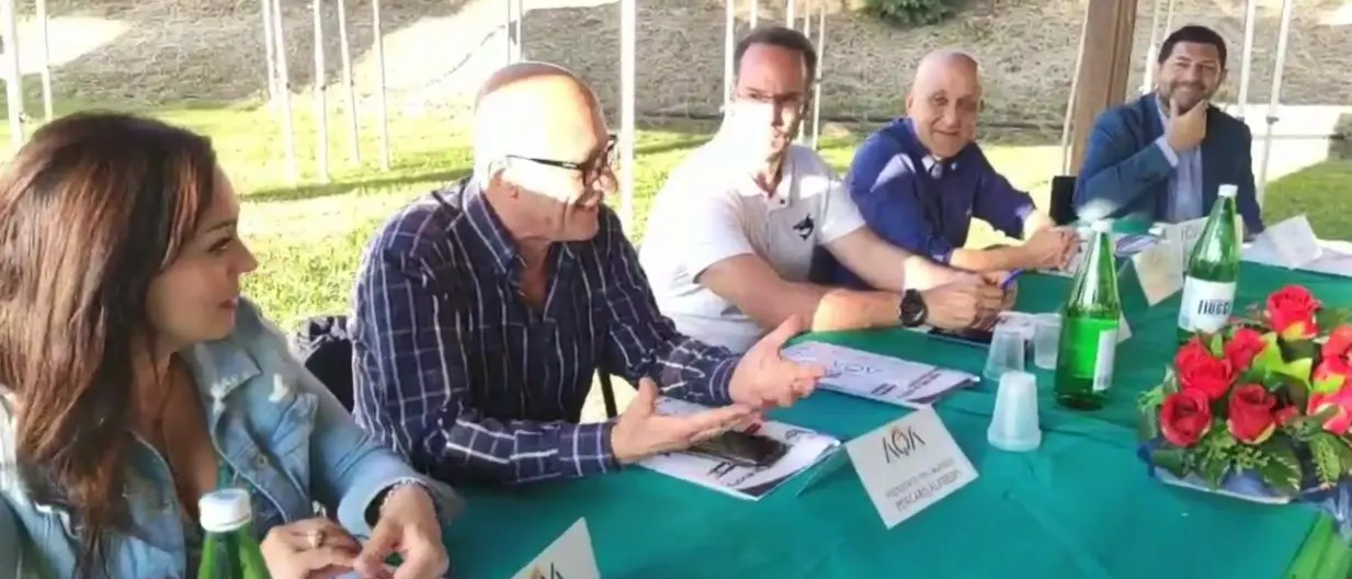 Nuoto, al via il XX meeting Città di Cosenza con oltre 800 atleti da ogni parte d’Italia