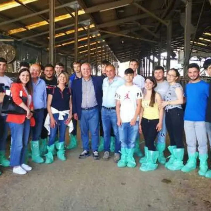 Camere Commercio, a Cosenza al via il project work per gli studenti dell’Istituto Mancini Tommasi