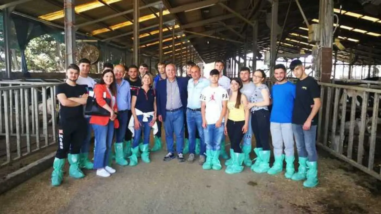 Camere Commercio, a Cosenza al via il project work per gli studenti dell’Istituto Mancini Tommasi