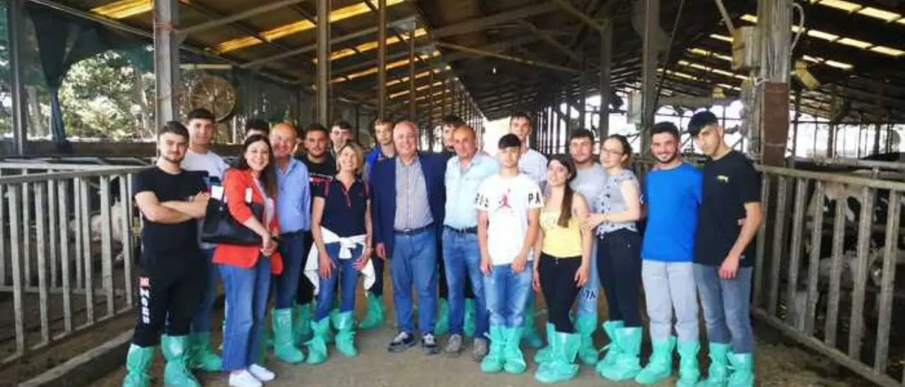 Camere Commercio, a Cosenza al via il project work per gli studenti dell’Istituto Mancini Tommasi