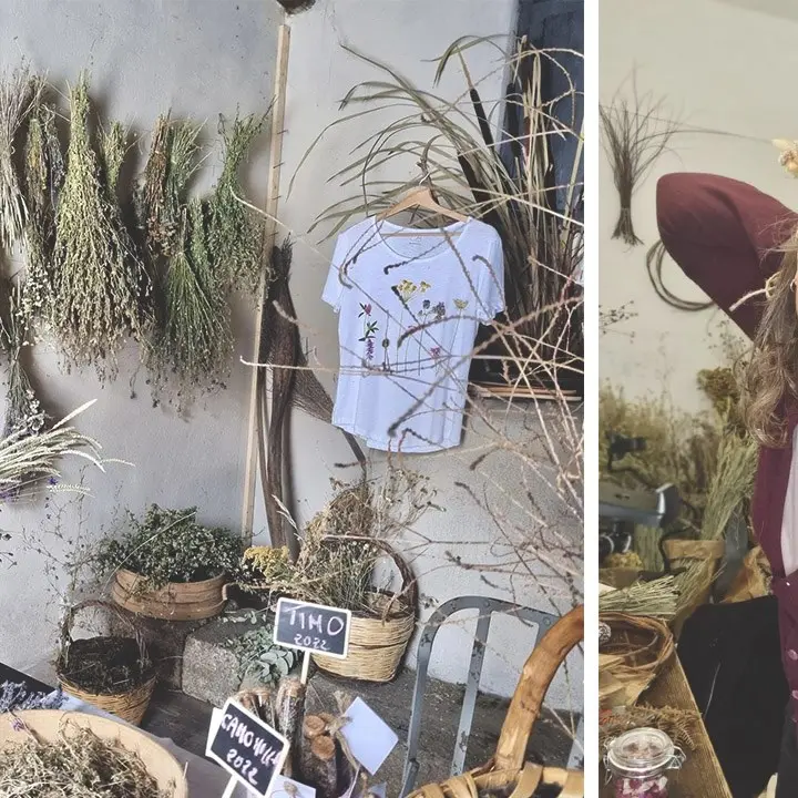 Così i fiori diventano forme d’arte ed elementi di design. Nasce in Sila B Botanical