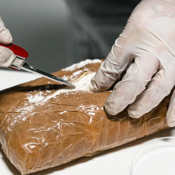 Traffico internazionale di droga, sequestrati 40 kg cocaina in Uruguay diretti in Italia: un arresto in Calabria