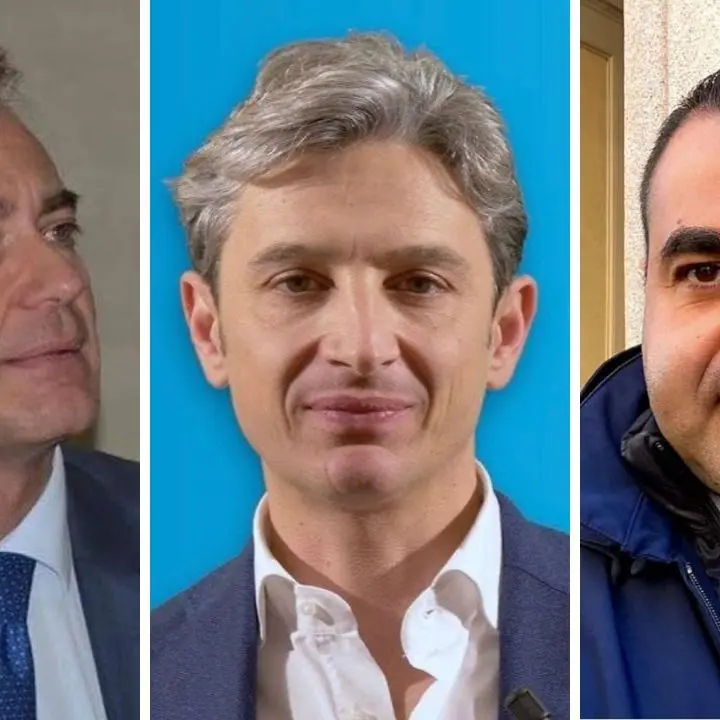 Azzurri calabresi tra dolore e realismo, Gallo: «Fi non resisterà senza Berlusconi». Mangialavori: «Giorno tristissimo»