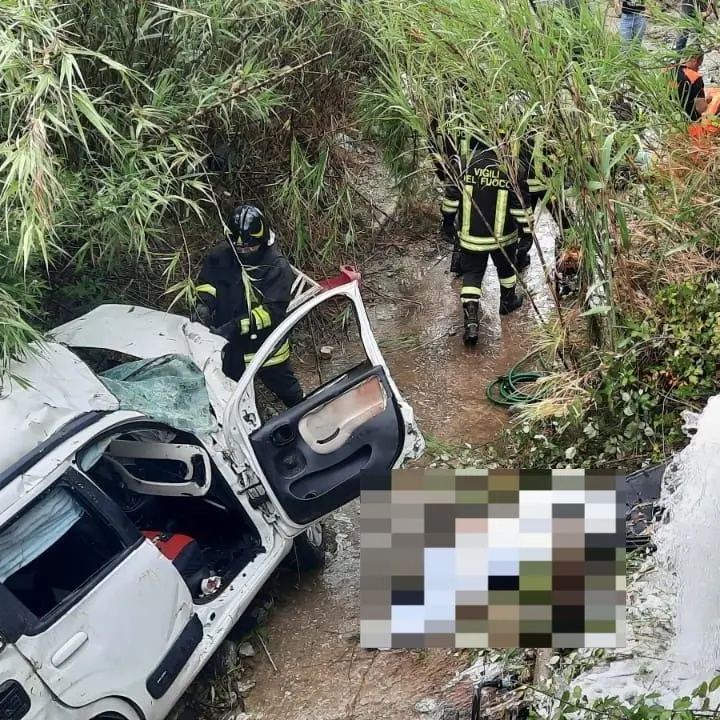 Incidente stradale nel Reggino, mamma e figlio di 11 anni muoiono precipitando con l’auto da un viadotto