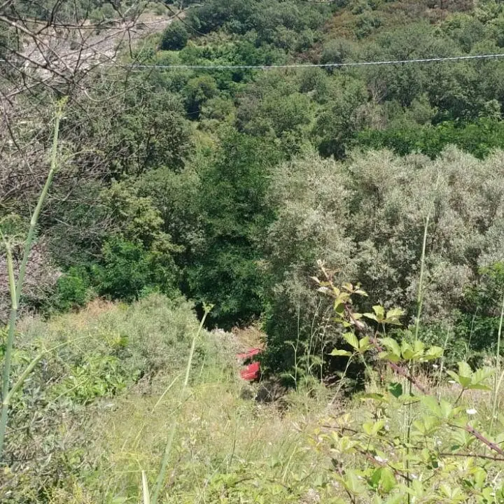 Incidente a Caulonia, 87enne precipita per 40 metri con l’auto: ferito ma non in gravi condizioni
