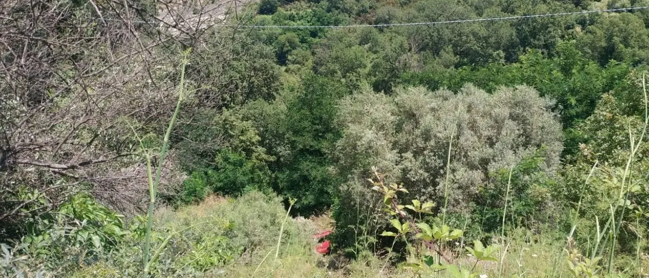 Incidente a Caulonia, 87enne precipita per 40 metri con l’auto: ferito ma non in gravi condizioni