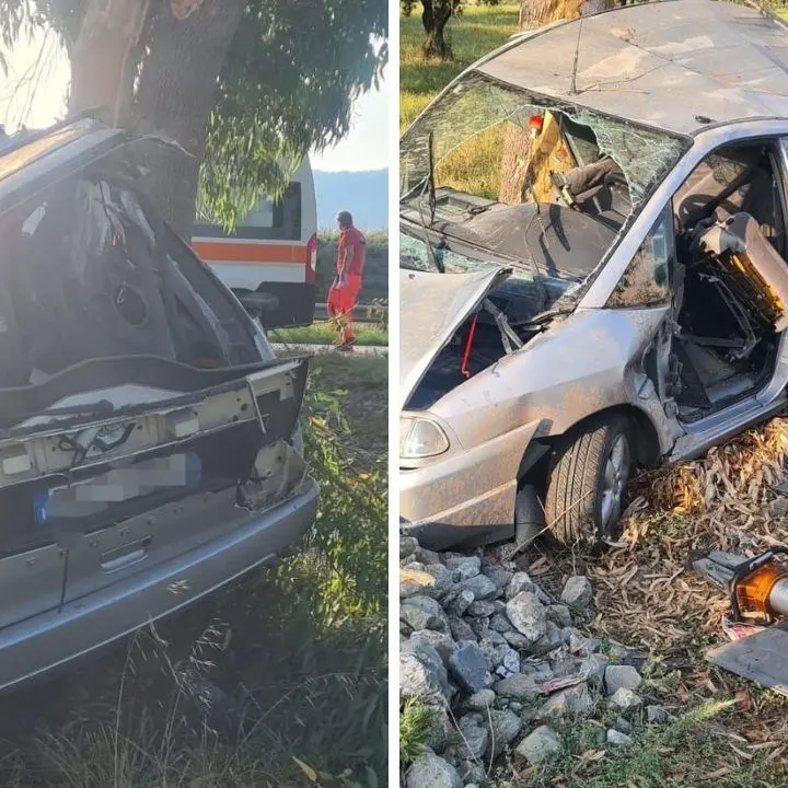Incidente a Lamezia Terme, auto perde il controllo e si schianta contro degli alberi: un ferito