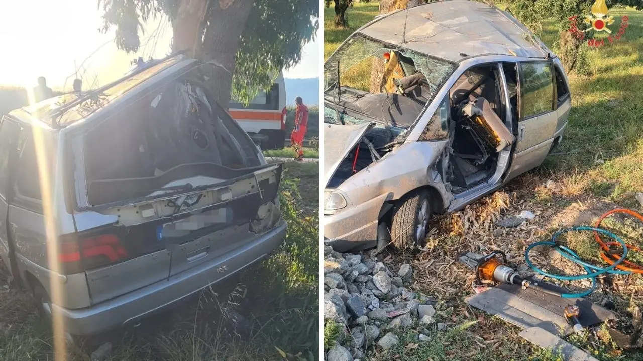 Incidente a Lamezia Terme, auto perde il controllo e si schianta contro degli alberi: un ferito