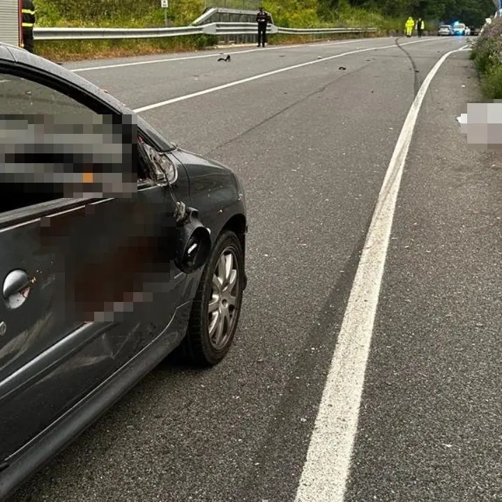 Incidente nel Vibonese, morti un 60enne e un giovane di 23 anni sulla Trasversale delle Serre