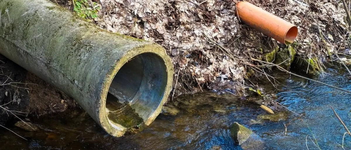 Ecomafie: in Calabria oltre 14.500 reati in 5 anni. Presentata a Lamezia anticipazione del rapporto annuale