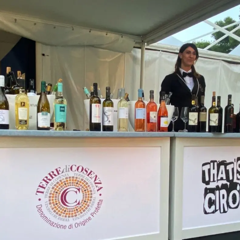 I vini dei Consorzi Cirò e terre di Cosenza protagonisti a Roma: «Grande attenzione per le tradizioni calabresi»