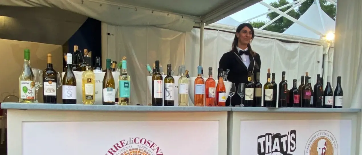 I vini dei Consorzi Cirò e terre di Cosenza protagonisti a Roma: «Grande attenzione per le tradizioni calabresi»