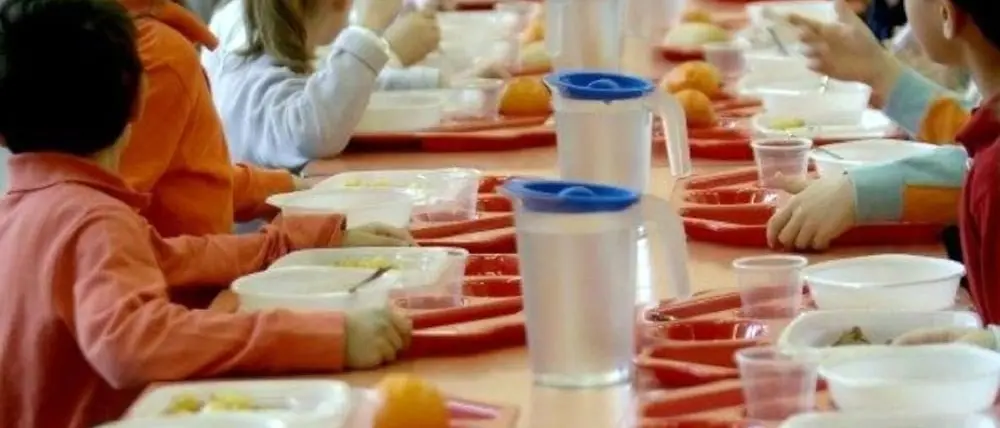 Quaranta bimbi intossicati alla mensa scolastica di Girifalco: batteri di origine fecale nel cibo