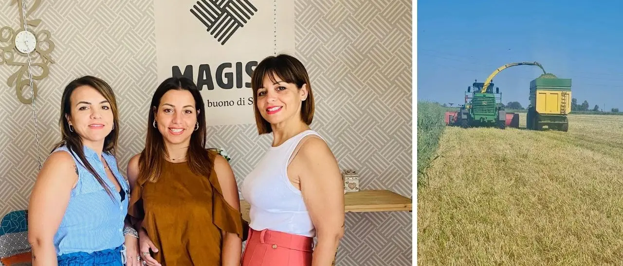 Le sorelle del riso: è calabrese quello più buono d’Italia. Dalla Piana di Sibari una vera eccellenza