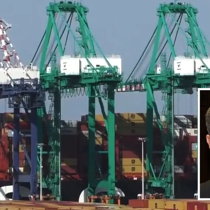 Porto di Gioia Tauro, Agostinelli: «Serve una cabina di regia istituzionale»