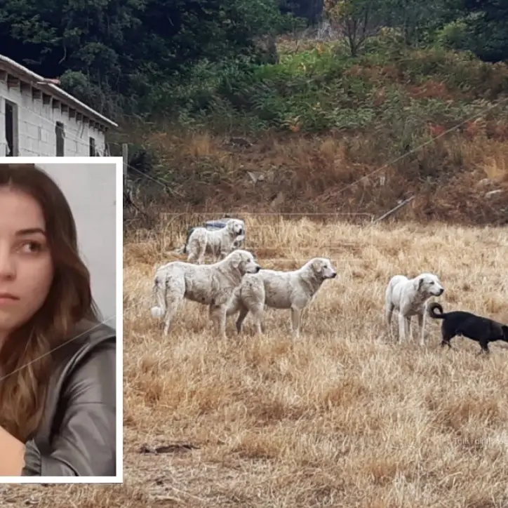 Simona sbranata dal branco di cani che vigilava sul gregge: condannato a 3 anni il pastore, il pm ne aveva chiesti 15