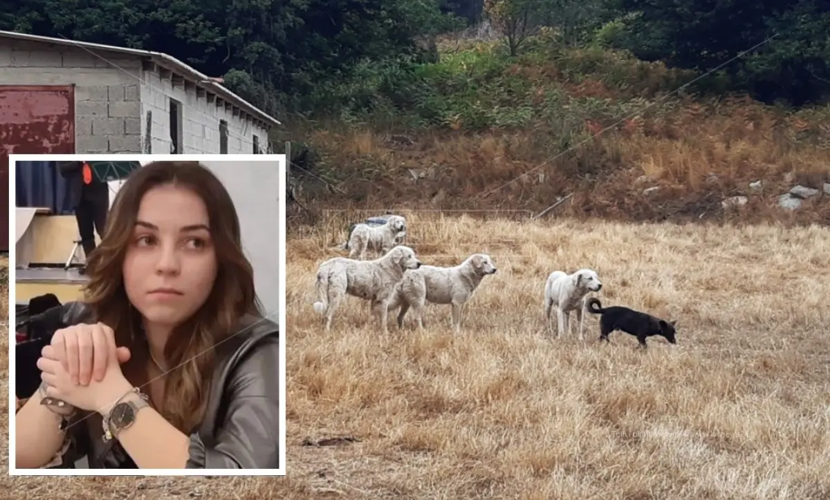 Simona sbranata dal branco di cani che vigilava sul gregge: condannato a 3 anni il pastore, il pm ne aveva chiesti 15