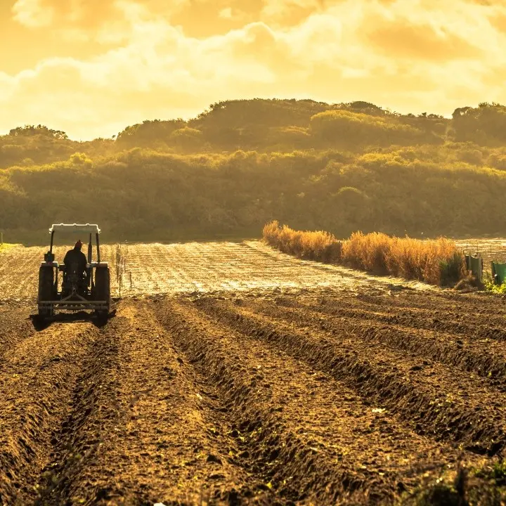 L’anima di terra della ‘ndrangheta: il controllo delle attività agricole è ancora il chiodo fisso della mafia