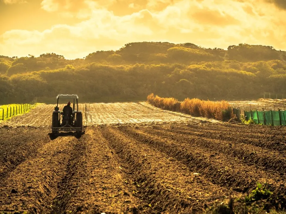 L’anima di terra della ‘ndrangheta: il controllo delle attività agricole è ancora il chiodo fisso della mafia