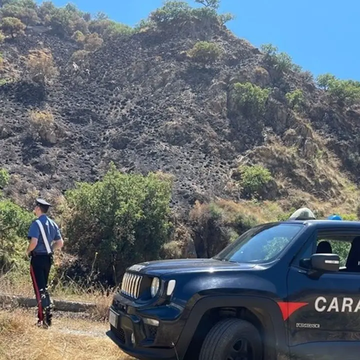 Bruciano sterpaglie per pulire terreno ma incendiano 5 ettari di macchia mediterranea: 4 denunce nel Reggino