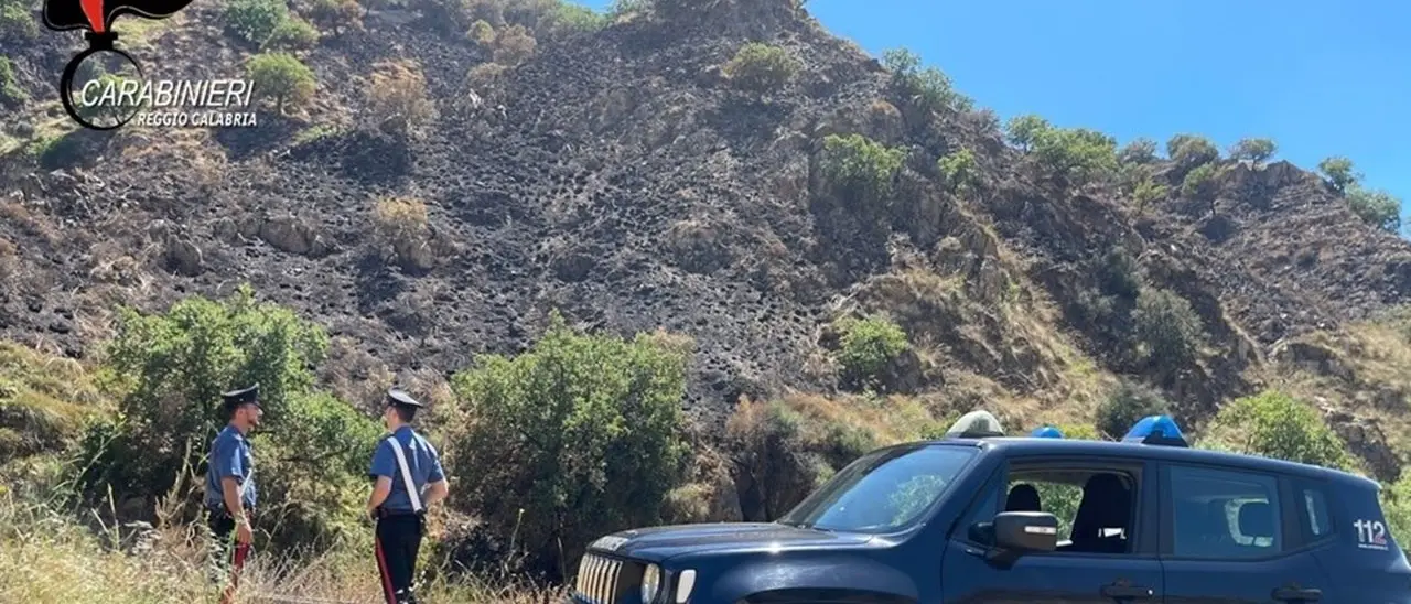 Bruciano sterpaglie per pulire terreno ma incendiano 5 ettari di macchia mediterranea: 4 denunce nel Reggino