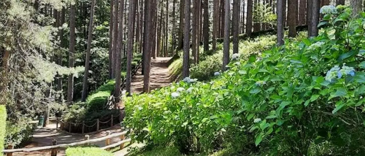 La Confcommercio lancia le Zone Economiche Montane (Zem) per combattere lo spopolamento delle aree interne