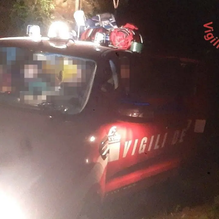 Sila catanzarese, gruppo di scout si perde nei boschi: recuperati dai vigili del fuoco