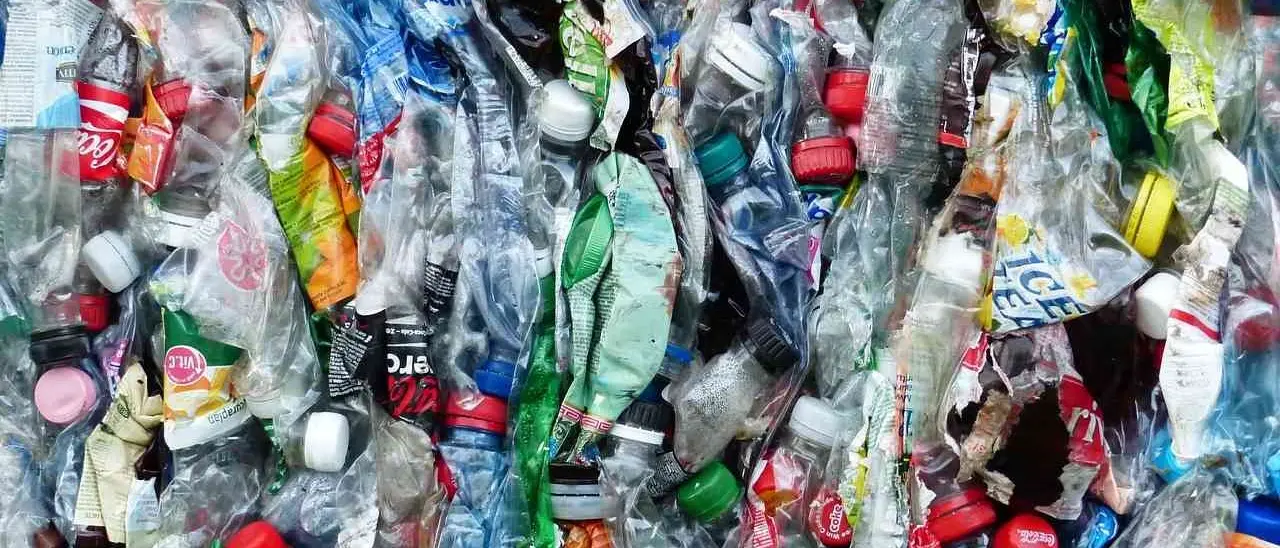 Comuni Ricicloni 2023, otto i calabresi premiati da Legambiente: primeggia la provincia di Cosenza