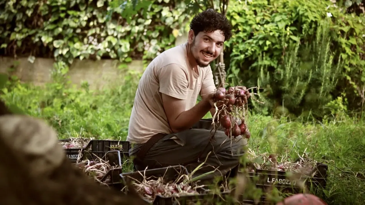 Vincenzo, il contadino-poeta che con i suoi ortaggi fa filosofia: «La terra è la mia salvezza, mi ha insegnato l’arte della lentezza»