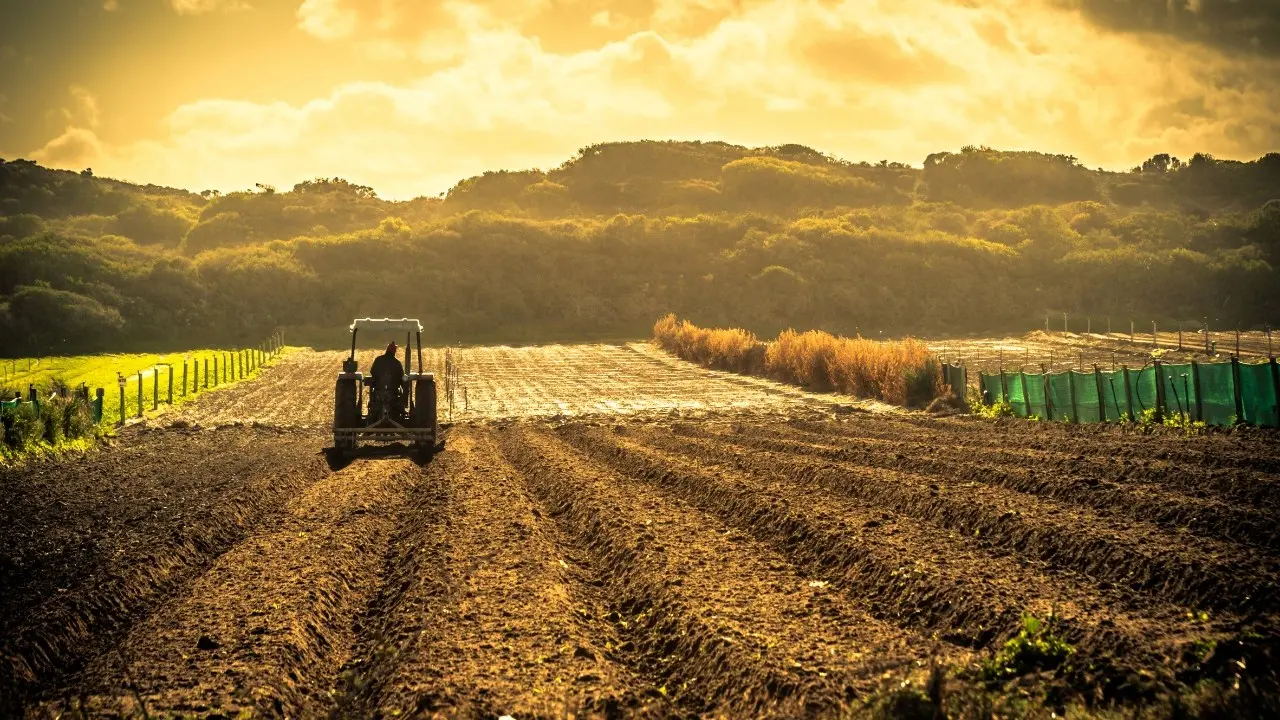 Eccezionale ondata di caldo, scatta il divieto di lavoro in agricoltura nelle ore più a rischio